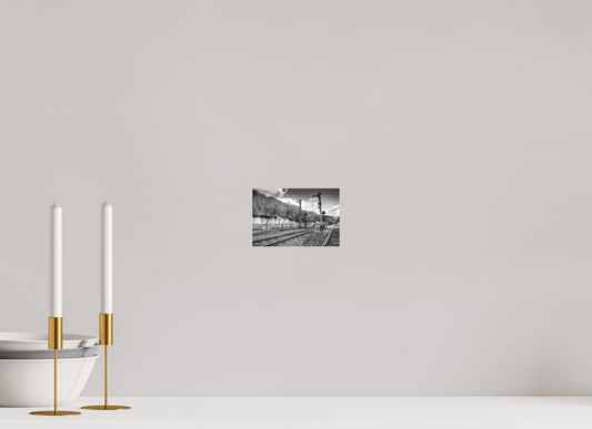 Signals - Pascals.Photo