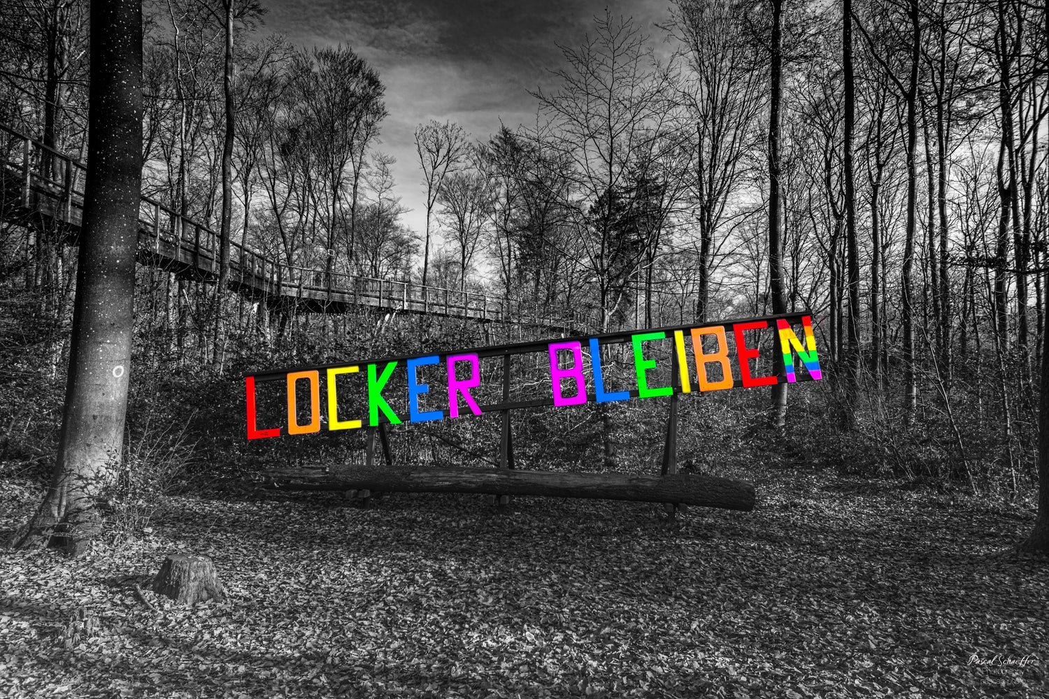 Personal Selection - Pascals.Photo