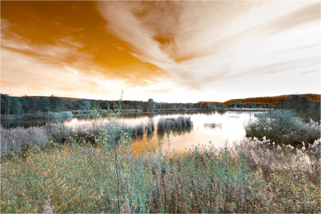 Beneath Quiet Skies - Pascals.Photo