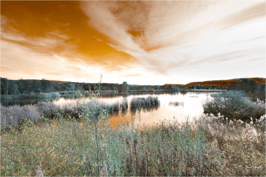 Beneath Quiet Skies - Pascals.Photo