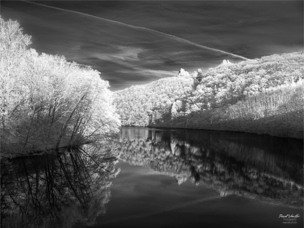 Essence - Pascals.Photo