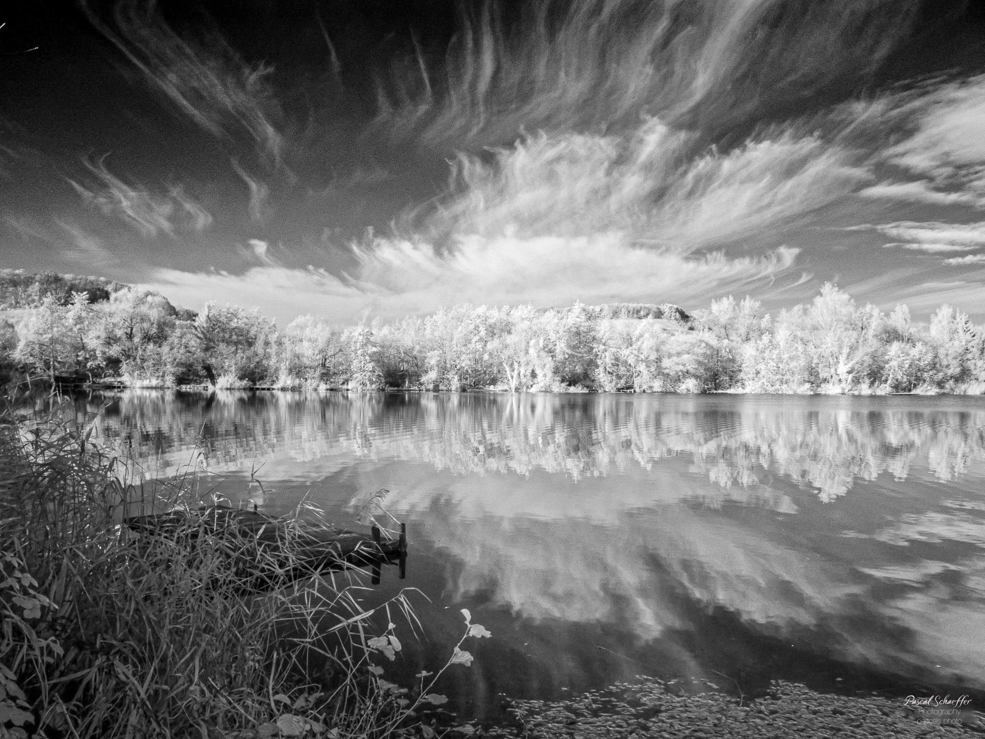 Eternal Horizon - Remerschen - Luxemburg - DD ( Digitales Download ) - Pascals.Photo