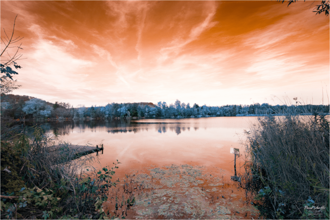 Horizon - Pascals.Photo