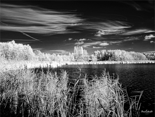 Through Gentle Air - Pascals.Photo