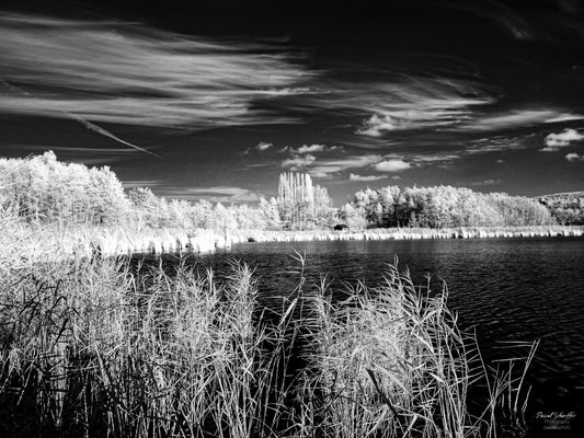 Through Gentle Air - Remerschen - Luxemburg - DD - ( Digitales Download ) - Pascals.Photo