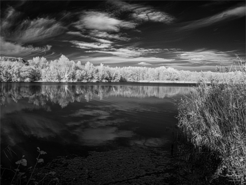 Veil - Pascals.Photo