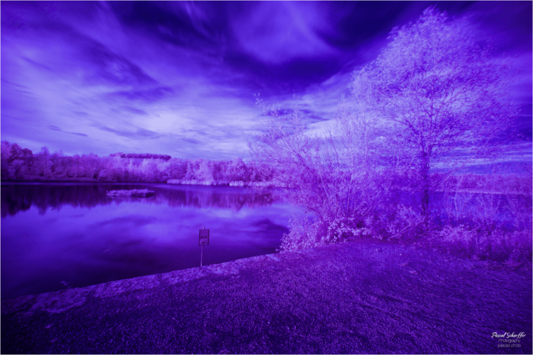 Wandering Light - Pascals.Photo