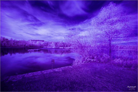 Wandering Light - Pascals.Photo