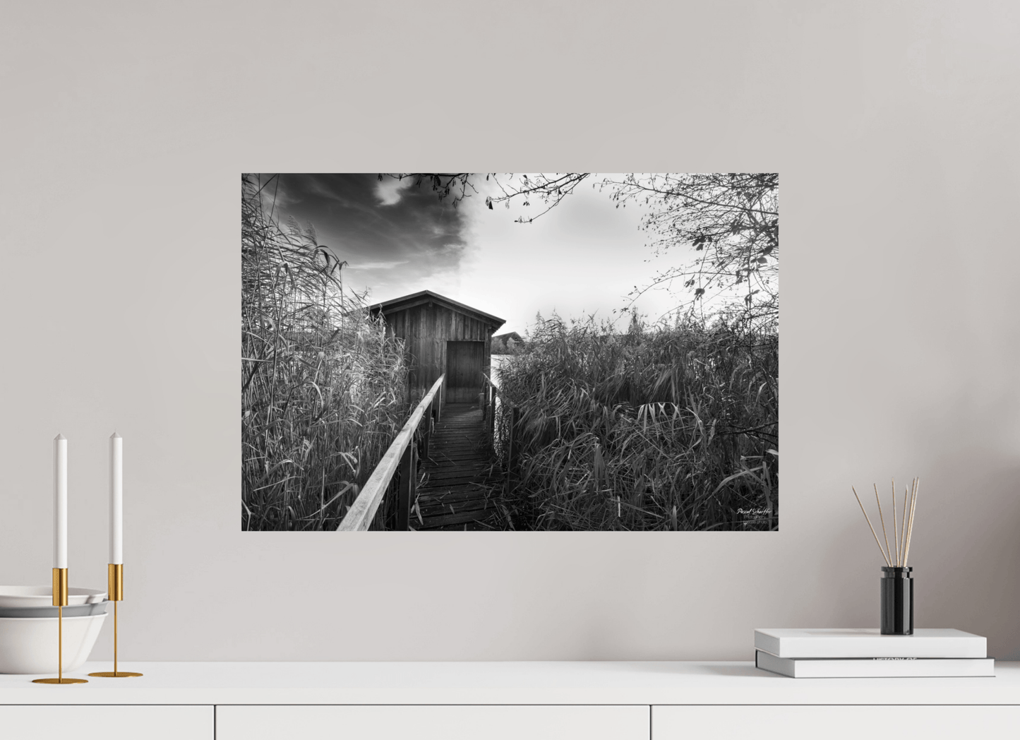 Whisper - Pascals.Photo