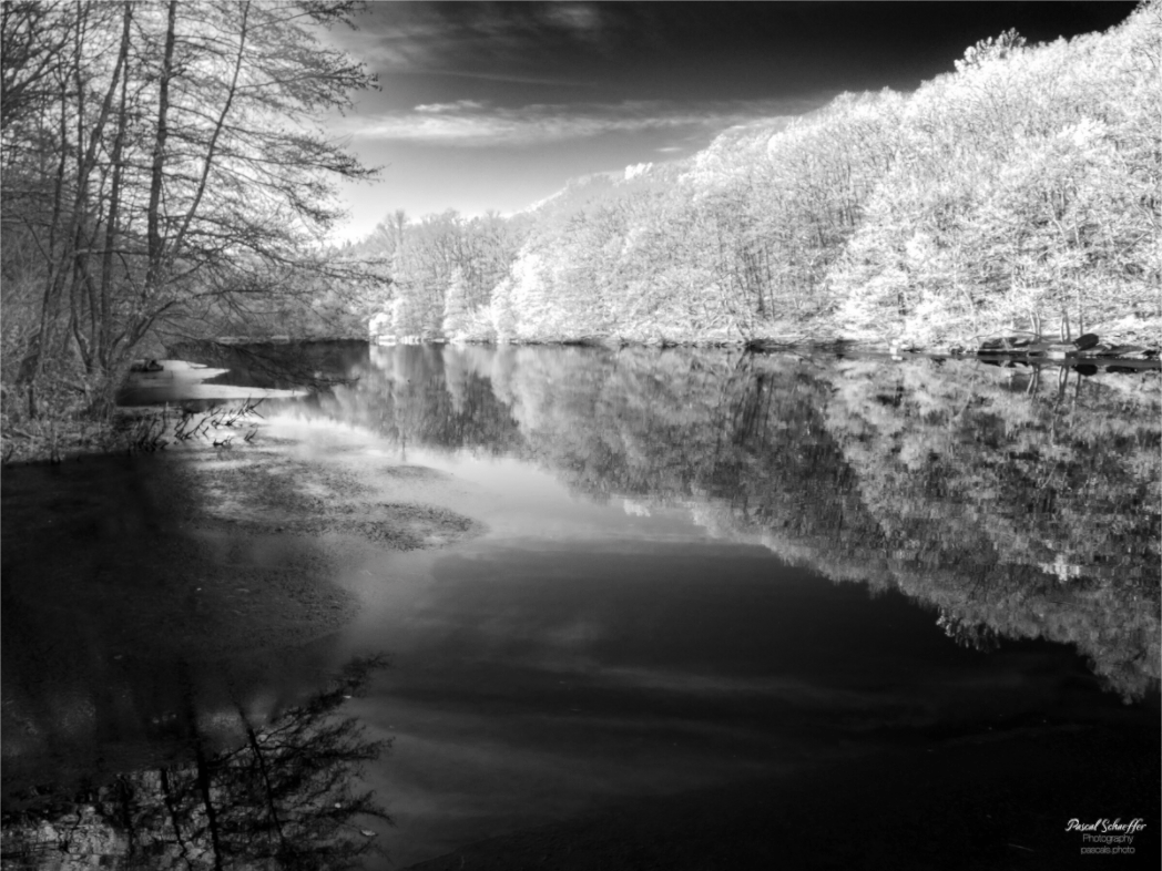 Whisper of Dawn - Pascals.Photo